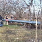 igienizarea teren Prundu (2)