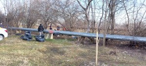 igienizarea teren Prundu (2)