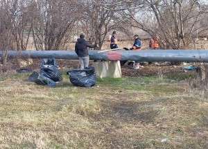 igienizarea teren Prundu (3)