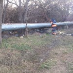 igienizarea teren Prundu (4)