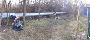 igienizarea teren Prundu (4)