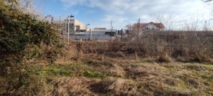 igienizarea teren Prundu (5)