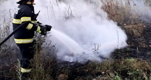 incendii-de-vegetație-uscată