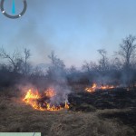 incendii vejetatie arges (1)
