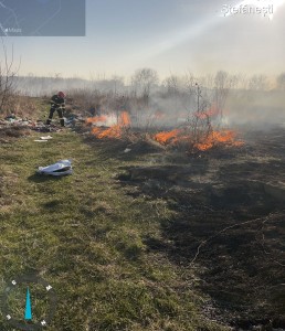 incendii vejetatie arges (10)