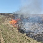 incendii vejetatie arges (11)