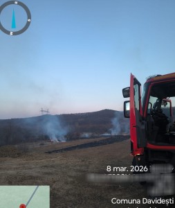 incendii vejetatie arges (2)