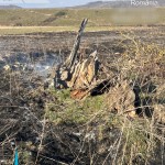 incendii vejetatie arges (3)