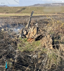incendii vejetatie arges (3)