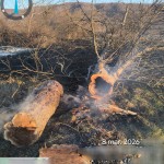 incendii vejetatie arges (4)