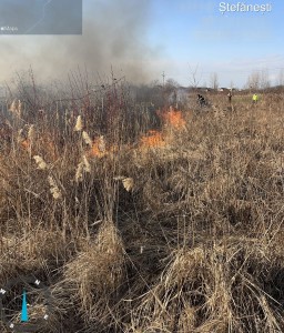 incendii vejetatie arges (5)