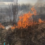 incendii vejetatie arges (6)