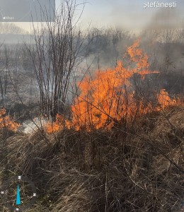 incendii vejetatie arges (6)