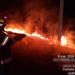 incendii vejetatie arges (7)