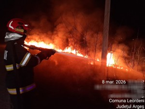 incendii vejetatie arges (7)