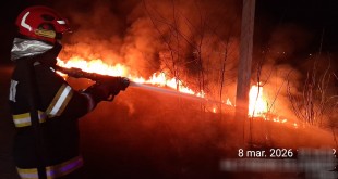 incendii vejetatie arges (7)