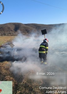 incendii vejetatie arges (8)
