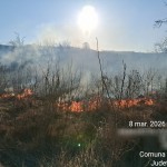 incendii vejetatie arges (9)