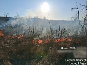incendii vejetatie arges (9)