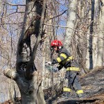 incendiu corbeni (1)