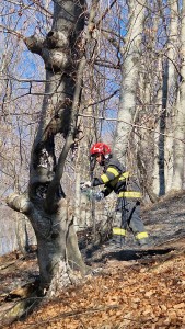 incendiu corbeni (1)