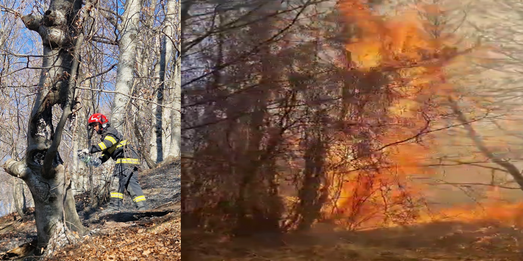 incendiu corbeni (2)