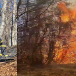 incendiu corbeni (2)