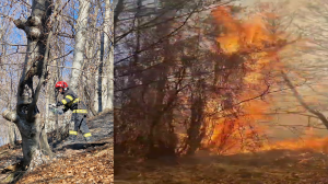 incendiu corbeni (2)