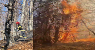 incendiu corbeni (2)