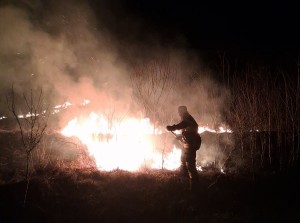 incendiu vegetatie uscata