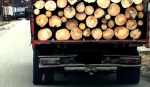 material-lemnos-confiscat