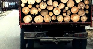 material-lemnos-confiscat