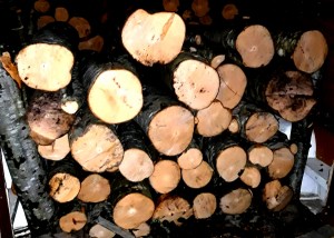 material-lemnos-confiscat1