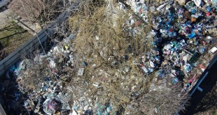 mizerie în curtea unui imobil pitesti (1)