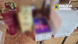 perchezitii arges la suspecti furt (8)