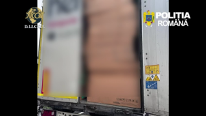 perchezitii arges la suspecti furt (9)