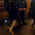 razie curtea de arges 14-15 martie (10)