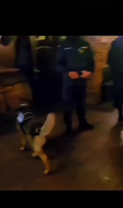 razie curtea de arges 14-15 martie (10)