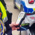 razie targul saptamanal bradu (4)