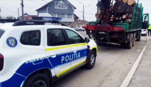 razie targul saptamanal bradu (8)