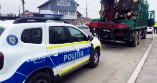 razie targul saptamanal bradu (8)