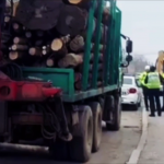 razie targul saptamanal bradu (9)