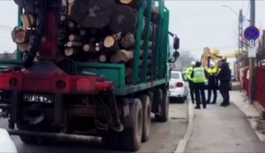 razie targul saptamanal bradu (9)