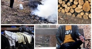 sancțiuni contravenționale