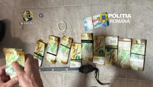 trafic de minori (17)