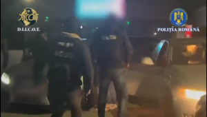 trafic droguri arges (1)