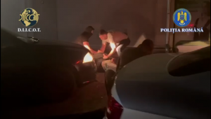 trafic droguri arges (2)