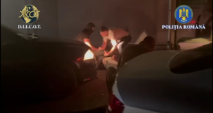 trafic droguri arges (2)