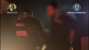 trafic droguri arges (4)