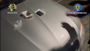 trafic droguri arges (6)